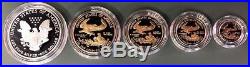 1995 W Gold & Silver American Eagle 10th Anniversary 5 Coin Proof Set Ogp