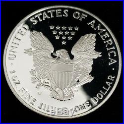 1995 W US American Gold & Silver Eagle 10th Anniversary Set SHF9551