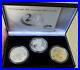 2006-3-Piece-American-Eagle-20th-Anniversary-Silver-Coin-Set-With-Reverse-Proof-01-dqh