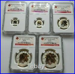 2014 Canada Silver Maple Leaf Gilt Reverse Proof Set NGC Set of 5 Coins