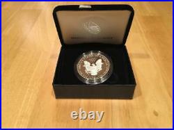 End of World War II 75th Anniversary American Eagle Silver Proof Coin Dollar W