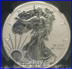Rev Proof Enhance Finish 2013 W $1 Silver Eagle Set SP/PF69 Silver Star SPOTLESS