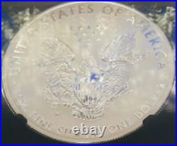 Rev Proof Enhance Finish 2013 W $1 Silver Eagle Set SP/PF69 Silver Star SPOTLESS