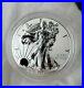 Super-2019-W-Enhanced-Reverse-Proof-Silver-Eagle-Of-Pride-Of-Two-Nations-Set-01-md