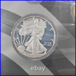 U. S. Mint 2014 Limited Edition Silver Proof Set Toned $1 50C 25C 10CUncirculated